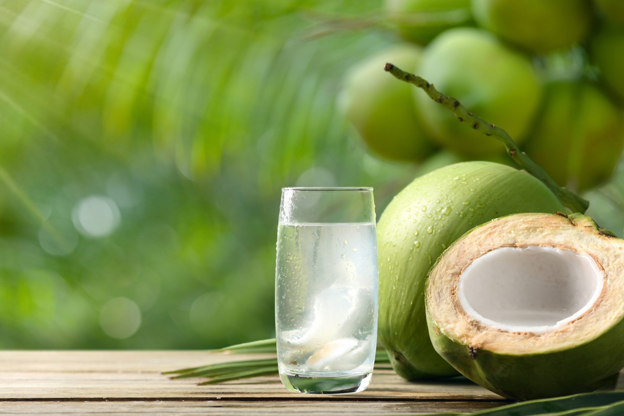 Benefits of Coconut Water Extracts